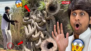 Ye Kya Dekh Liya Wo Bhi 😱🐍 Real Etne Saare Dangerous Snake!