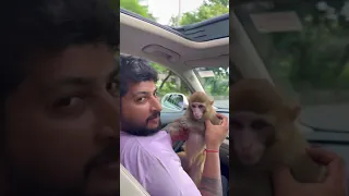 क्या आपको लगता है ये हमे छोड़ कर चला जये गा full वीडियो देखना