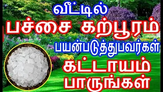 வீட்டில் பச்சை கற்பூரம் பயன்படுத்துபவர்கள் பாருங்கள்  #பச்சைகற்பூரம்  |#nammabhoominammasamy