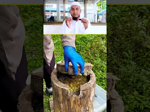 Allah ki shan aur madhumakkhi 😱