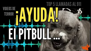 TOP 5 LLAMADAS AL 911 (VIDEOS DE TERROR) ( Resubido )