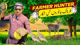 Hunting For Badger 🦡/ دنیا کا سب سے بڑا جنگلی شکاری
