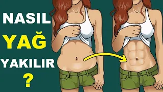 Göbek Yağını Süper Hızla Yakmak İçin 5 Önemli İpucu | Dr. Berg Türkçe