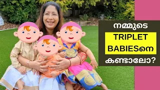 നമ്മുടെ TRIPLETS BABIESന്റെ 1ST BIRTHDAY CELEBRATIONS VLOG