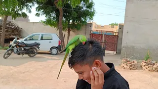parrot kaha baith Gaya 😱