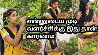 என்னுடைய முடி வளர்ச்சிக்கு இது தான் காரணம்❤️My Hair growth Secrets