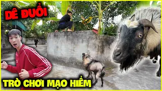 Đức Mõm | Trò Chơi "Dê Đuổi Húc Người" Siêu Mạo Hiểm !!!