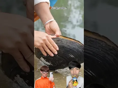 Kerangnya gede banget banyak nutiara‼️ _vector_  #remix #funny #dubbing #AdibSanhaji