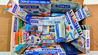 Doms Stationery Unboxing, Bi-Colour, Pencils, Eraser, Brush Pen, Oil Pastel, Wax Crayons, Art Kit,
