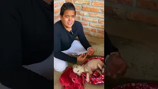 Este es su último ¡ADIÓS!