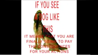 Lost dog PSA