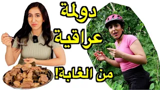 قطفت ورق عنب من الغابة وسويت دولمة عراقية لزوجي - hind deer