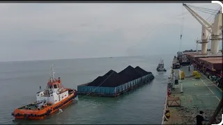 Floating Crane 🤏 Bongkar Batubara Kalimantan