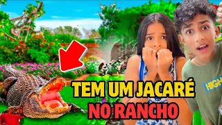 APARECEU UM JACARÉ NO RANCHO* como vamos tirar ele?!