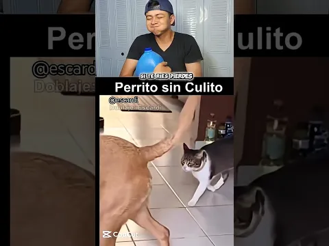 (ATRAPADO) ESTA VEZ EH PERDIDO CON @EscardiFandubs #funny #shortyoutube #react