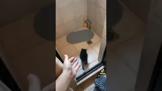 😍Bañando un mapache🦝