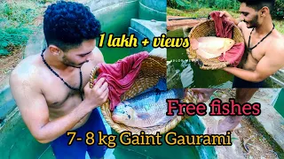 പത്തുകൊല്ലമായി😱വറ്റിക്കാതെ കുളം വറ്റിച്ച്പ്പോൾ ( 7-8kg Gaint Gaurami)🐠