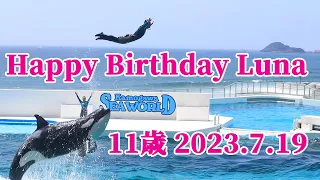 ルーナ11歳お誕生日おめでとう!! 鴨川シーワールド シャチ kamogawaseaworld orca killerwhale