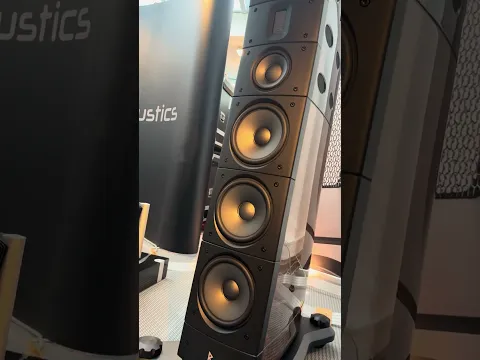 Raidho TD6 - 225000 EUR #audiophile #hifi #loudspeaker #audio #hifiaudio #highend #loudspeakers
