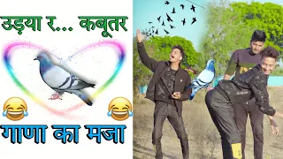 उड़या र.. कबूतर😂। sunil comedy । sunil Kumawat comedy । sunil ki comedy । kacha badam song comedy