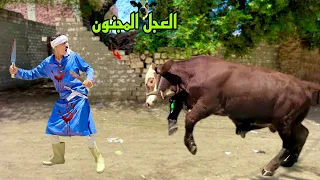 لما ابوك يشتغل جزار في اول يوم العيد 🐄🥩😂| علاء حسين