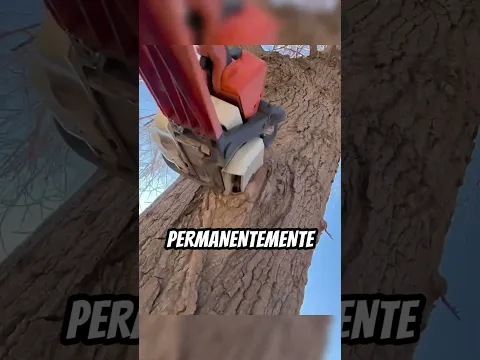 La MOTOSIERRA que se TRANSFORMÓ😲