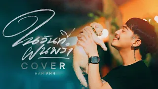 ในวันที่ฝนพรำ - Liltan [ Cover - Ham.PMN ]