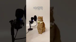 고양이가 부르는 "야생화(Wild Flower)"