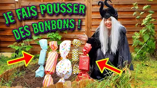 HALLOWEEN: COMMENT FAIRE POUSSER DES BONBONS? - DECOUVRE LA RECETTE DE LA SORCIERE - DEMOJOUETS