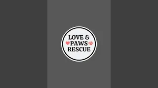 Comment '🐾' if you believe every dog deserves a chance - and consider supporting if you can.