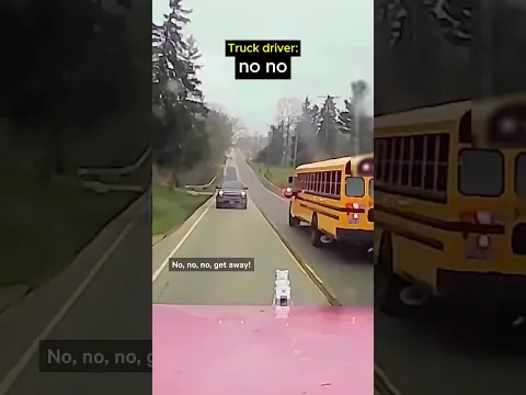This Driver Honked Right In Time..