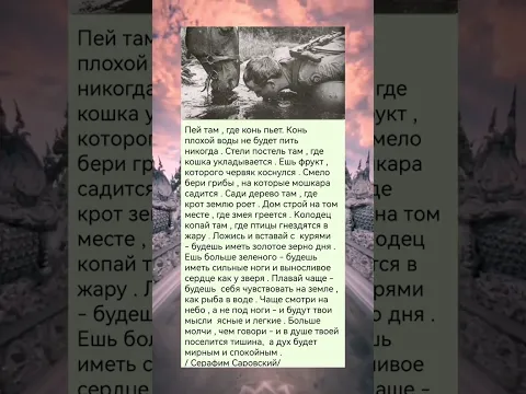 Мудрость