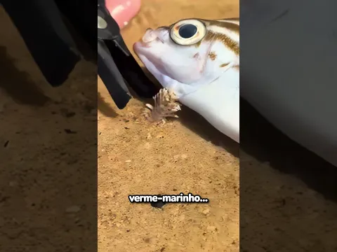 Verme x Marinho