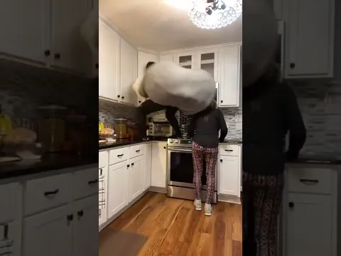 SHE DID NOT EXPECT THAT 🤣 #shorts