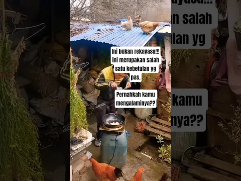 Ayam ini seakan mengerti keadaan tuannya #shorts