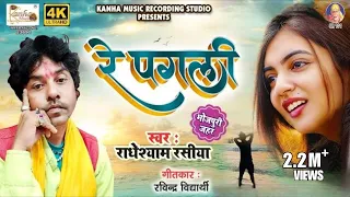 Radheshyam rasiya || लाखो लोगो के डिमांड पर एक बार फिर धमाल मचा दीए || राधेश्याम रसिया || रे पगली