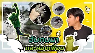 จับกบนา(คลิปเต็ม) | ช่องโอเล่