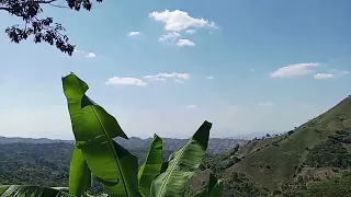 Muy buenas tardes Dios les bendiga 