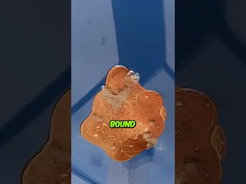 Can This GLASS Resist LAVA ? 😱🌋