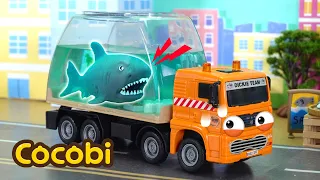 Tolong! Hiu Lepas Dari Truk Pengangkut Mobil!🦈🚨 | Mobil Mainan Anak | Cocobi