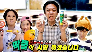 딱풀이 사망하셨습니다ㅠㅠ(뇌절극장 몰아보기 1화)