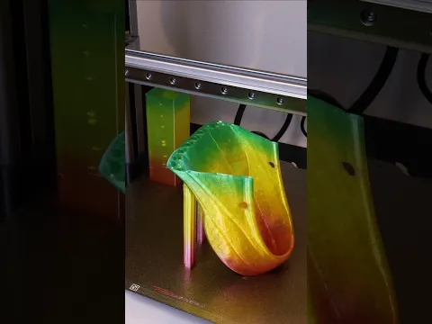 3D printed Shoes