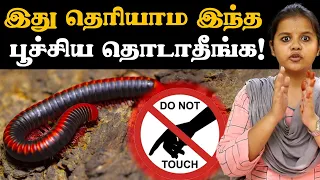 Train பூச்சி, மரவட்டை பத்தி கண்டிப்பா இத தெரிஞ்சிக்கோங்க | Millepede | Lemur vs Millepede