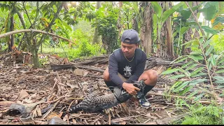 5 hari berburu musang pakai berbagai cara jenis jerat dan perangkap sampai dapat!!!! #KOOKIKO
