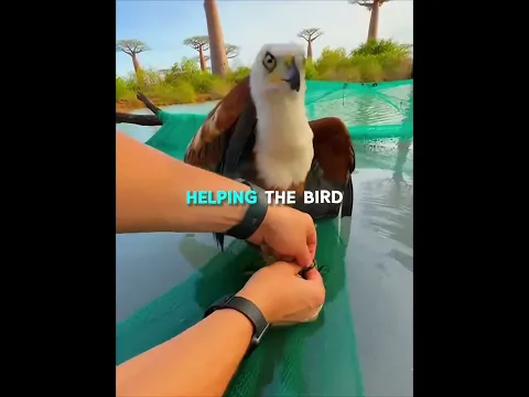The Animals Remembered His Kindness..🧡