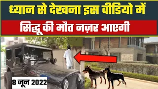 काश सिधु कुत्ते की बात मान लेते तो।sidhu mosewala news|sidhu moosewala cctv video