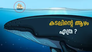 കടലിന്റെ നിഗൂഢതയിലേയ്ക് ഒരു യാത്ര പോയാലോ ? A Journey Through the Mysteries of the Sea !