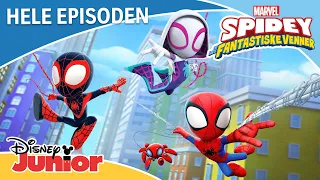🕸️ SE HELE EPISODEN | Spidey og hans fantastiske venner | Disney Junior Norge