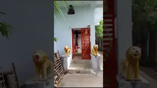 Baba Balak Nath mandir shitala mandir Mata ke mandir Ka Hal dekh Lijiye aap sab support kijiega