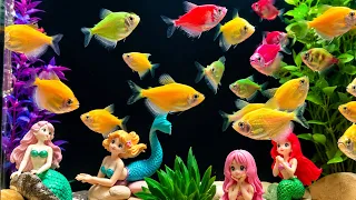 🐠 Relaxing Colorful Tropical Fish Aquarium | Peaceful Underwater World 4K | Part 10